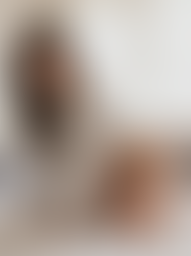 Blurred content preview