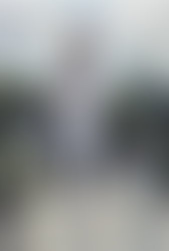 Blurred content preview