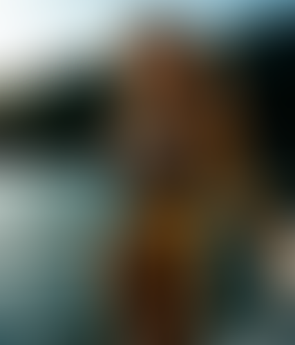 Blurred content preview