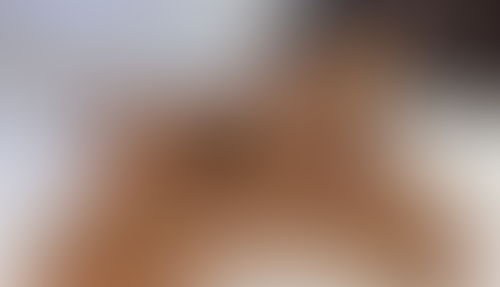 Blurred content preview