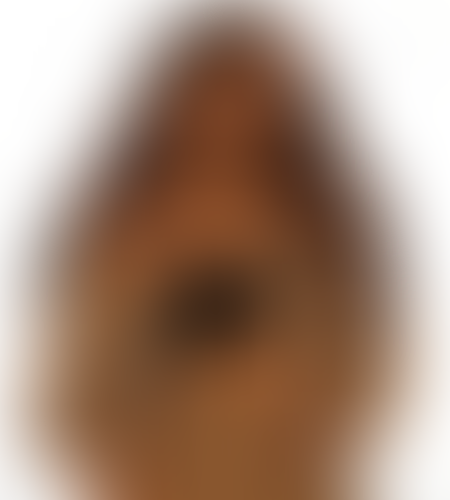 Blurred content preview