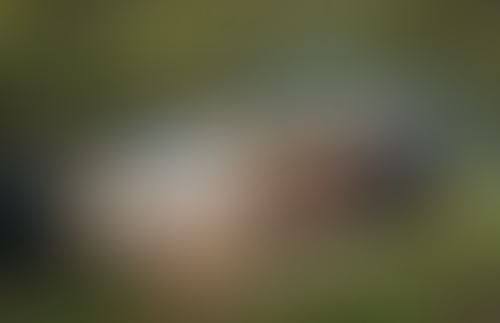 Blurred content preview