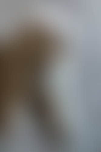 Blurred content preview
