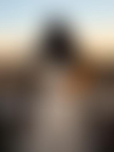 Blurred content preview