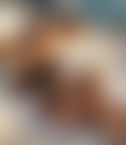 Blurred content preview