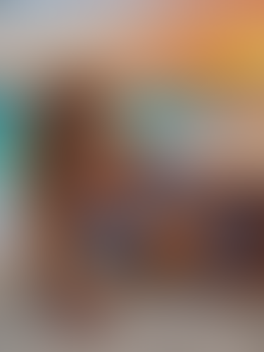Blurred content preview