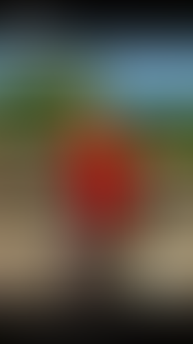 Blurred content preview