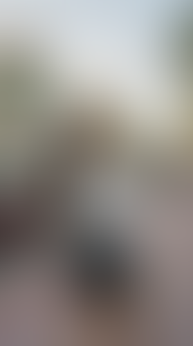 Blurred content preview