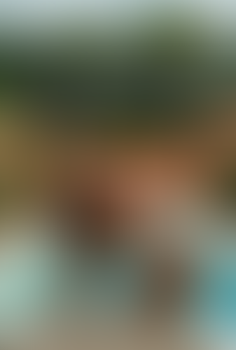 Blurred content preview