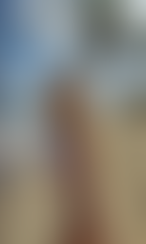 Blurred content preview