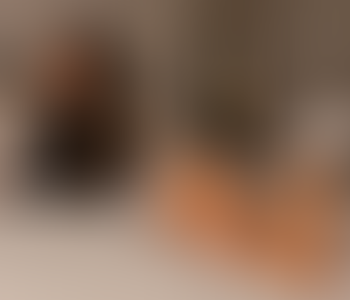 Blurred content preview