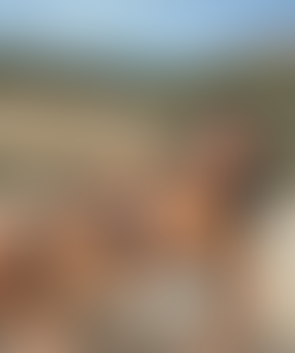 Blurred content preview