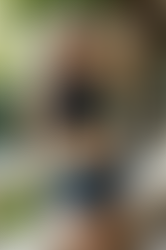 Blurred content preview