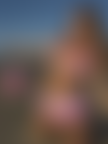 Blurred content preview