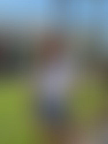 Blurred content preview