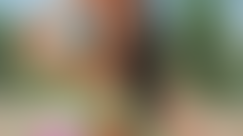 Blurred content preview