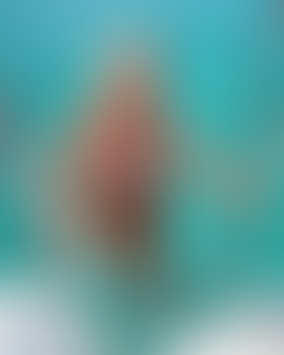 Blurred content preview