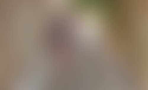 Blurred content preview
