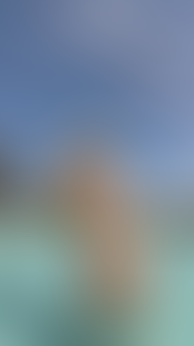 Blurred content preview