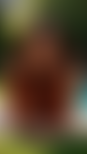 Blurred content preview