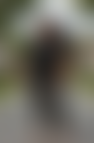 Blurred content preview