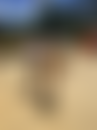 Blurred content preview