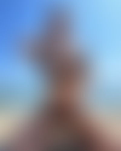 Blurred content preview