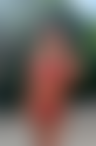 Blurred content preview