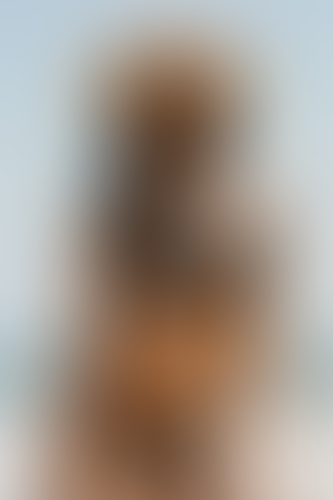 Blurred content preview