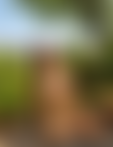 Blurred content preview