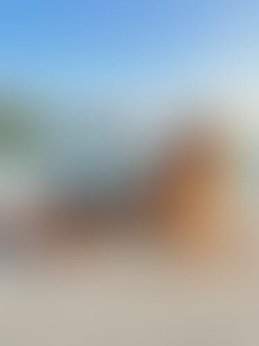 Blurred content preview