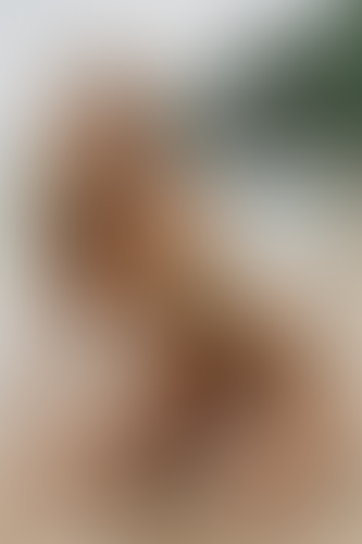 Blurred content preview