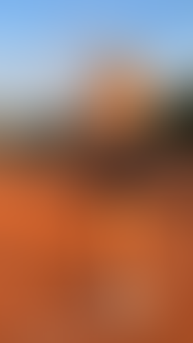 Blurred content preview