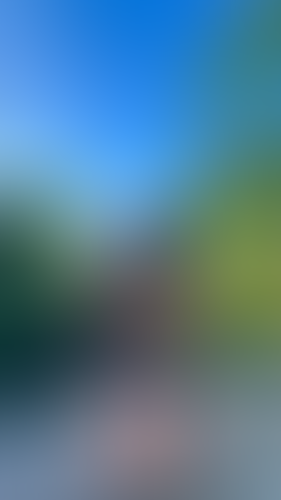 Blurred content preview