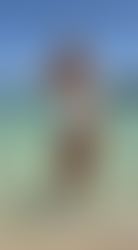 Blurred content preview
