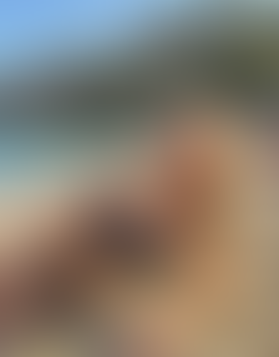 Blurred content preview