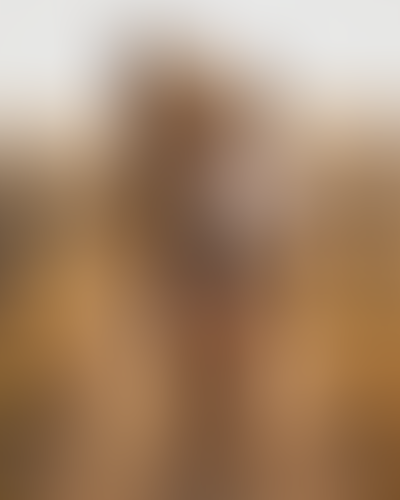 Blurred content preview