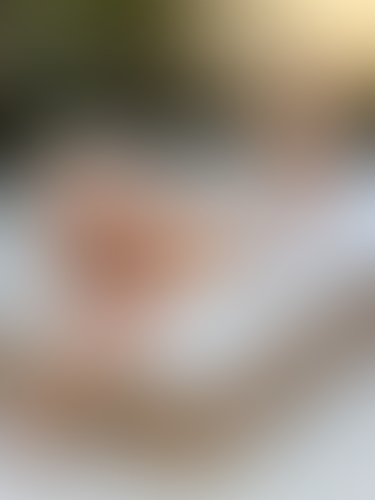 Blurred content preview