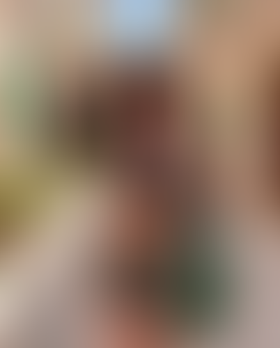 Blurred content preview