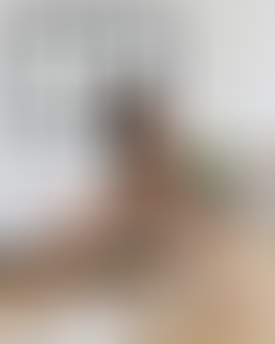 Blurred content preview
