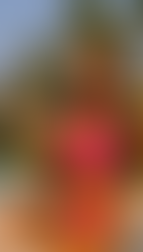 Blurred content preview