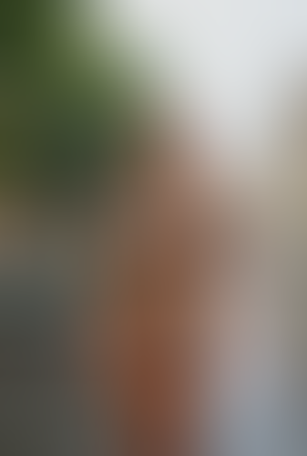 Blurred content preview