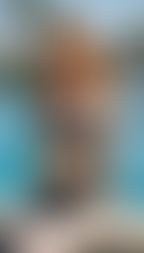 Blurred content preview