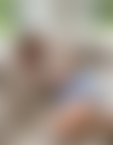 Blurred content preview