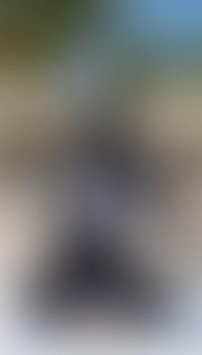 Blurred content preview