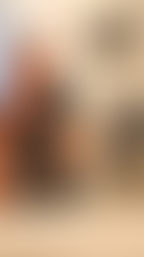 Blurred content preview