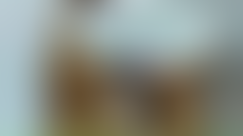 Blurred content preview