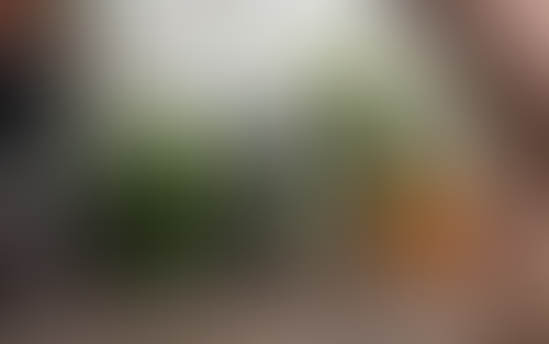 Blurred content preview