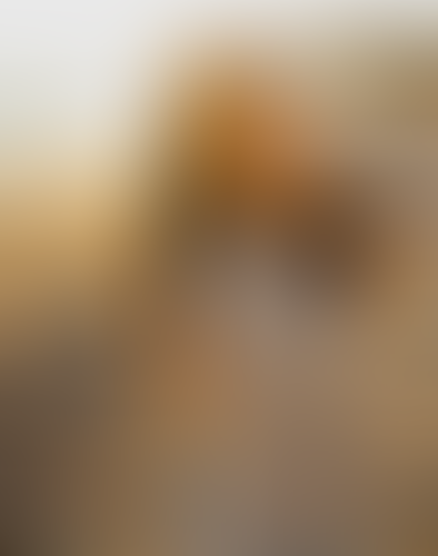 Blurred content preview