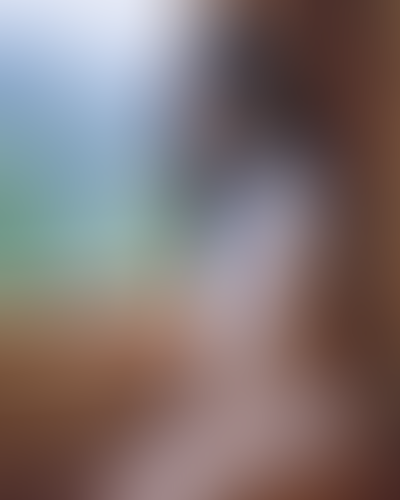 Blurred content preview